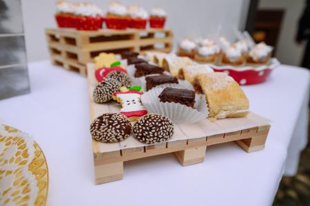 otvoritev grad Podsreda, 26.3.2025_Izidor Kotnik (120)